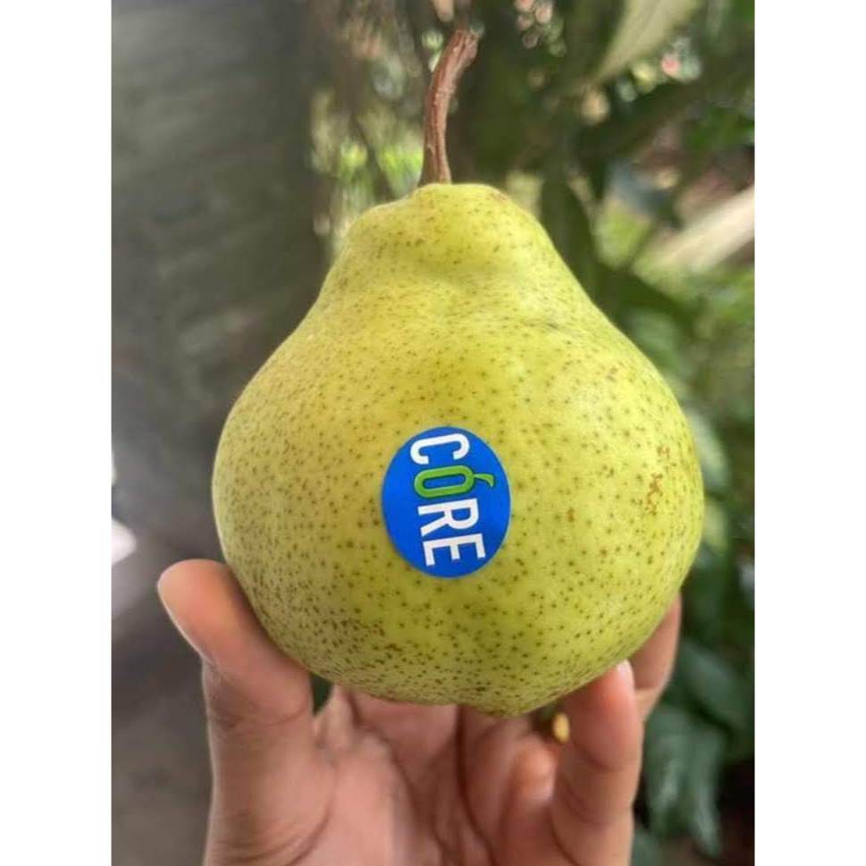 Jual Pear Pakham Afrika Buah Import Buah Segar Pilihan | Shopee Indonesia