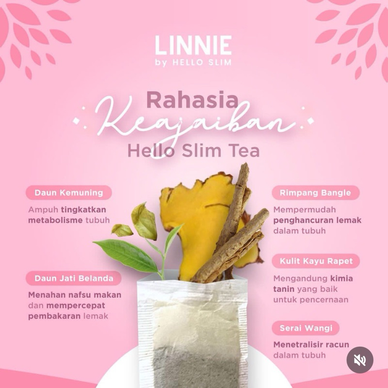 Jual Hello Slim Detox Tea Pelangsing Badan Peluntur Lemak Obat Diet ...