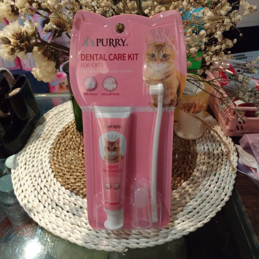 Jual Purry Dental Care Kit Cat | Set Sikat Gigi Untuk Kucing 45gr ...