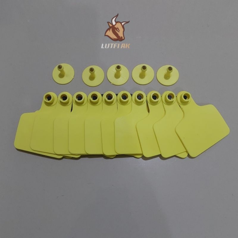 Jual EAR TAG SAPI 6×7 CM POLOS | Shopee Indonesia