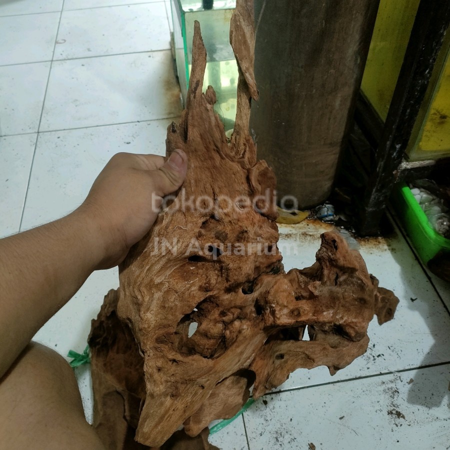 Jual Akar Kayu Rentek Hiasan Aquarium Aquascape Kolam Uk XL | Shopee ...
