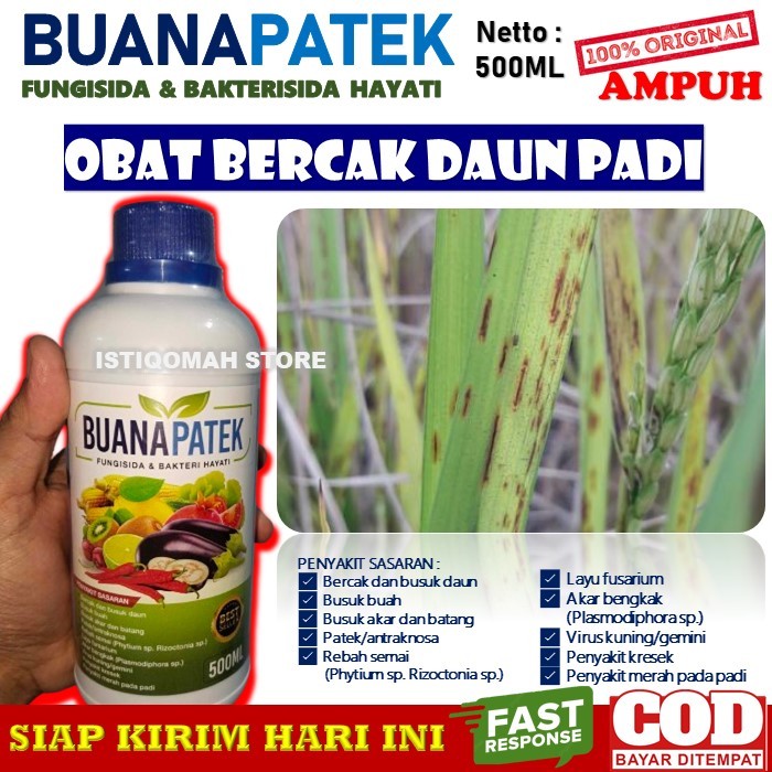 Jual 100 Original Ampuh Obat Bercak Daun Padi Yang Bagus Dan Mujarab Buanapatek 500ml Fungisida 6898