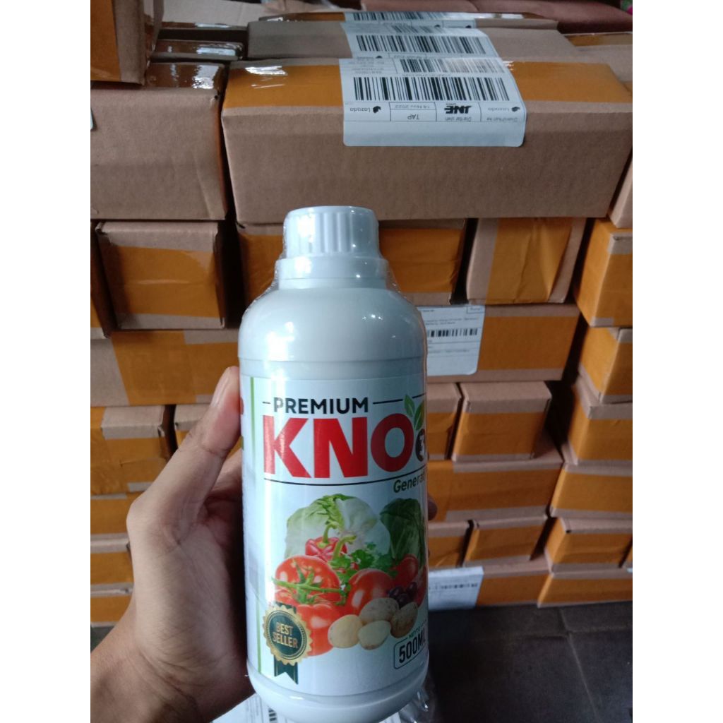 Jual Budidaya Labu Super: Tingkatkan Produksi dan Ukuran dengan Pupuk ...