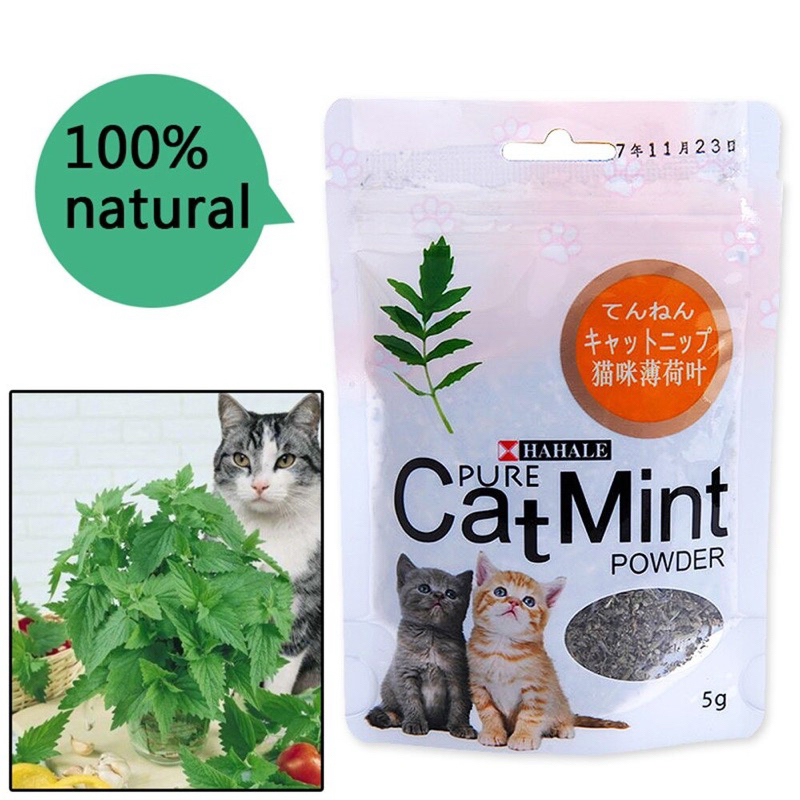 Jual catnip catmint cat mint powder - pure catmint - snack kucing ...