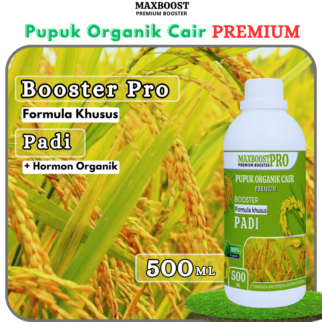 Jual Pupuk Booster Padi Premium 500ml I Pupuk Organik Pelebat Padi I Pupuk Organik Perangsang 2381