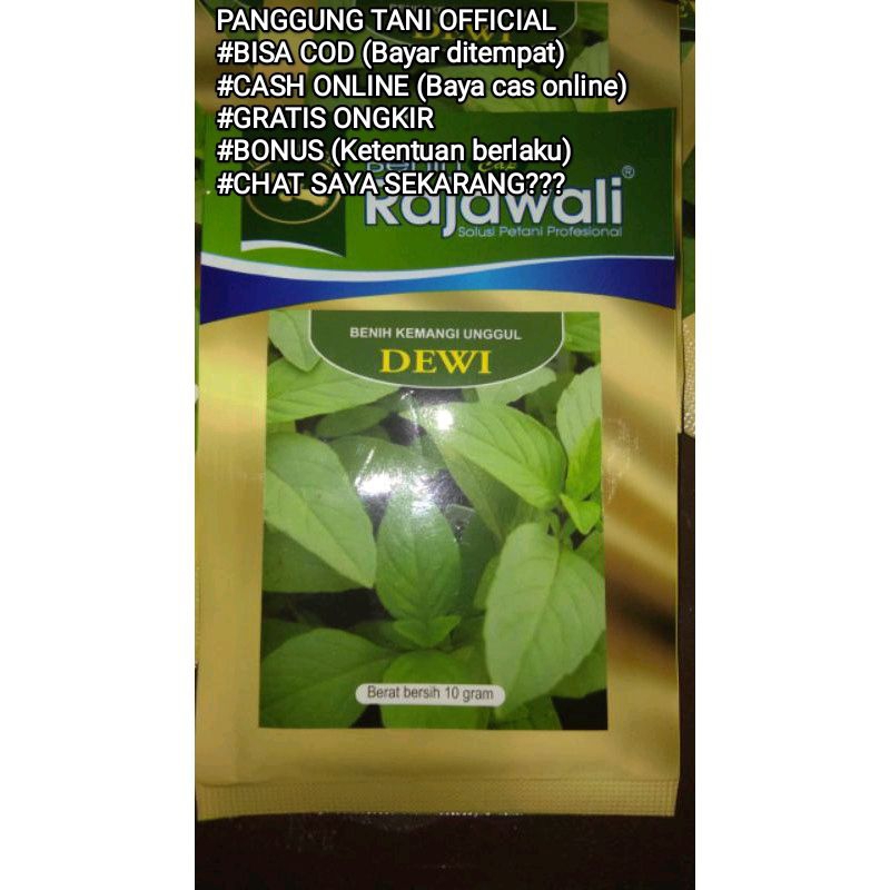 Jual Benih Bibit Kemangi Jumbo Dewi F1 (Bau Sedap, Rasa Nikmat dan ...