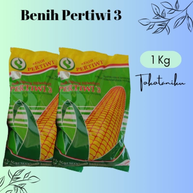 Jual Benih Jagung Hibrida Pertiwi 3 Kemasan 1 Kg | Shopee Indonesia