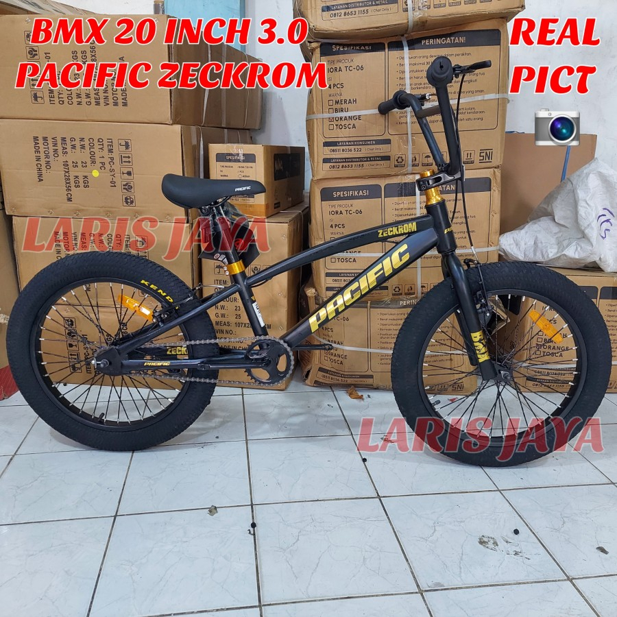 Pacific bmx 20 hotsell