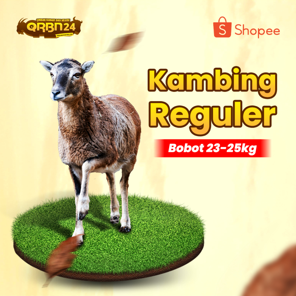 Jual Sahabat Yatim - QRBN 2024 - Qurban Kambing | Shopee Indonesia