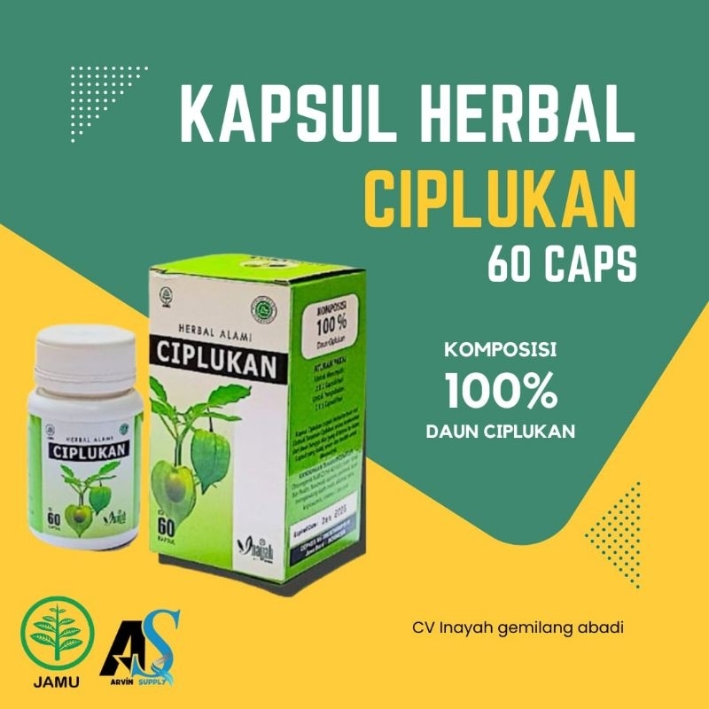 Jual Kapsul Daun Ciplukan Isi Pcs Herbal Inayah Obat Kesehatan Shopee Indonesia