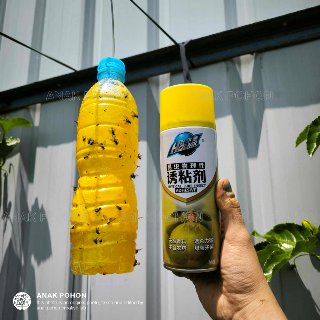 Jual Lem Lalat Double Action Tipe Langsung Spray - Physical Lure Insect ...