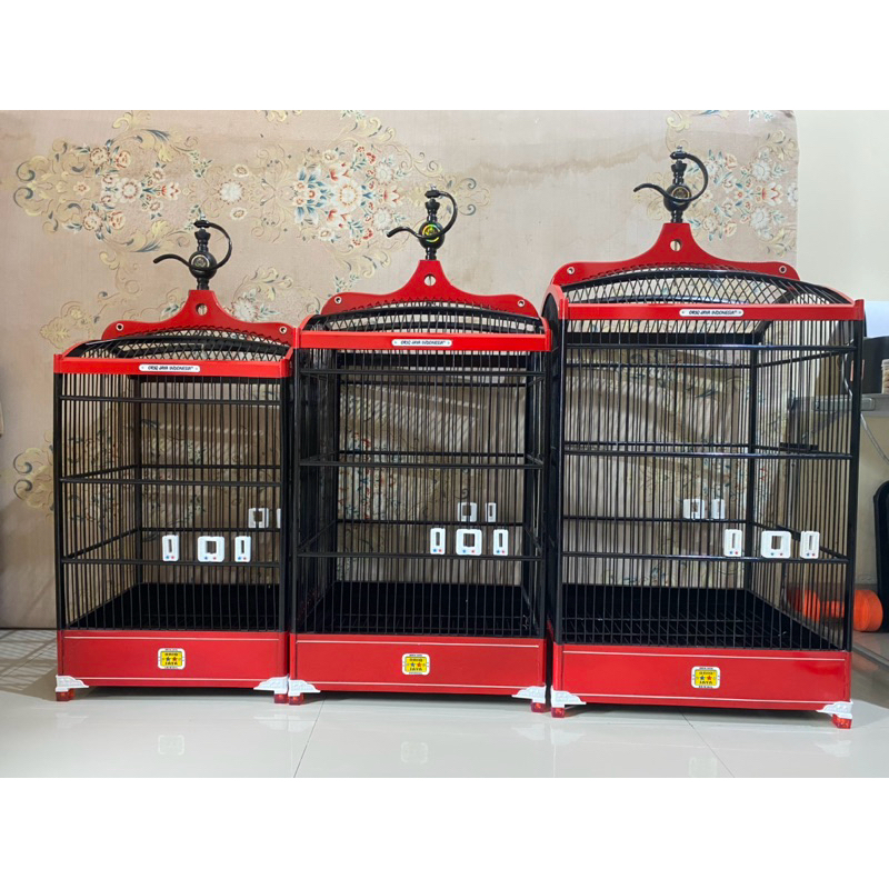 Toydagi lezbiyenlarning havaskor surati