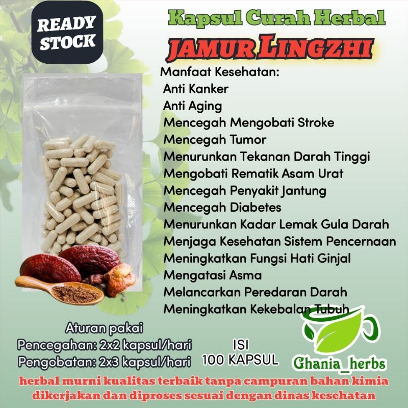 Kapsul Herbal JAMUR LINGZHI isi 100 Kapsul