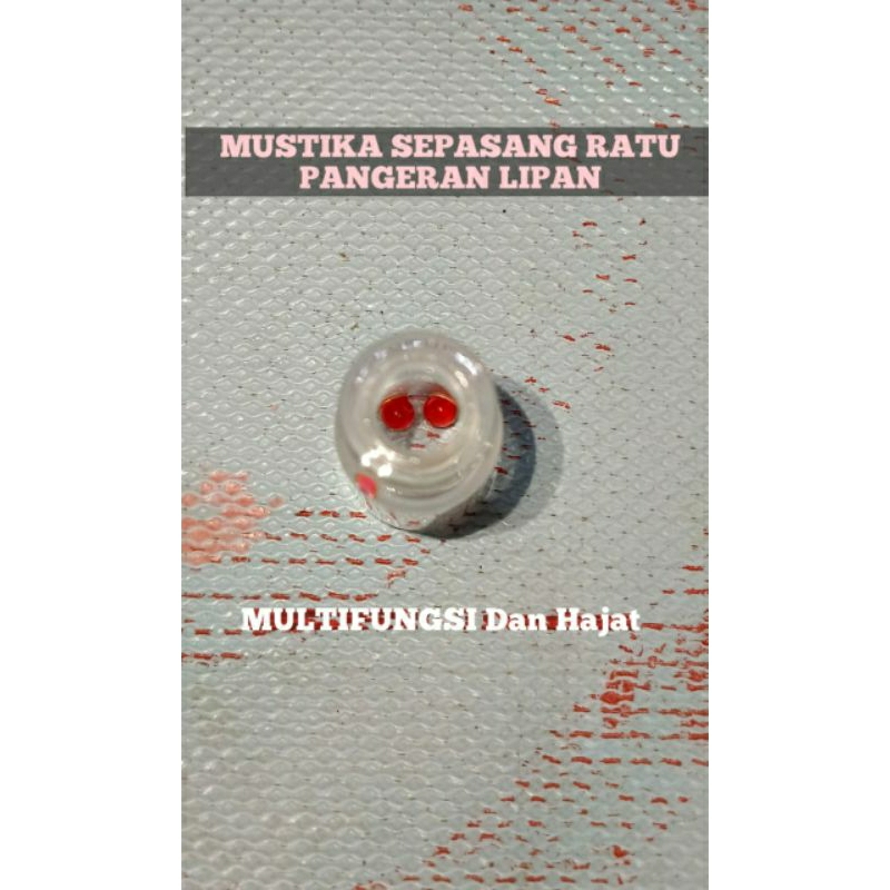 Jual Sepasang Mustikaa Ratu Pangeran Lipan Tarikan Alam Shopee Indonesia