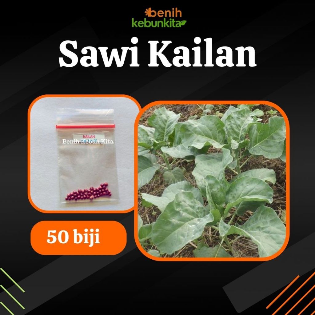 Jual 50 Biji Bibit Sayuran Kailan Leckat Benih Tanaman Sayuran