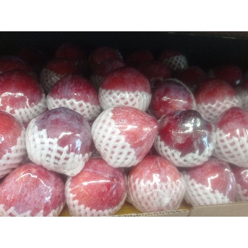 Jual Plum Red Ruby manis jumbo 1 kg | Shopee Indonesia