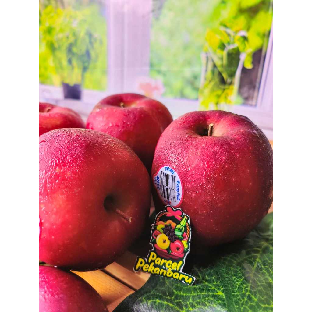 Jual Buah impor apel merah|apel impor red del | Shopee Indonesia