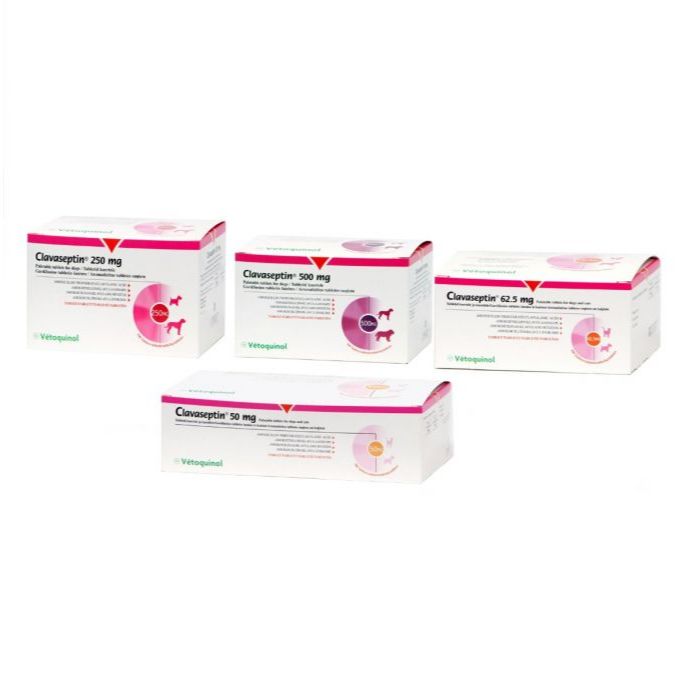 Jual CLAVASEPTIN - Antibiotik Amoxiclav / Amoxclav Palatable Tablet for ...
