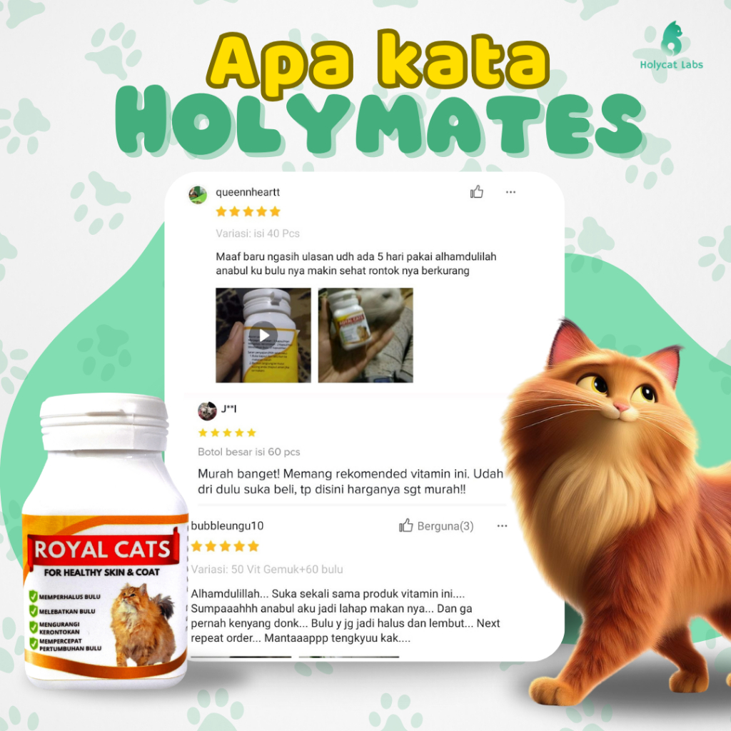 Jual Royal cats vitamin bulu dan bulu rontok kucing per kapsul | Shopee ...