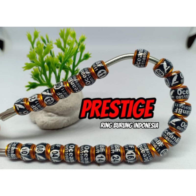 Jual RING KENARI DONAT D'PRINTZ LUBANG 3,0 MM HITAM LIS MAS BISA CUSTOM ...