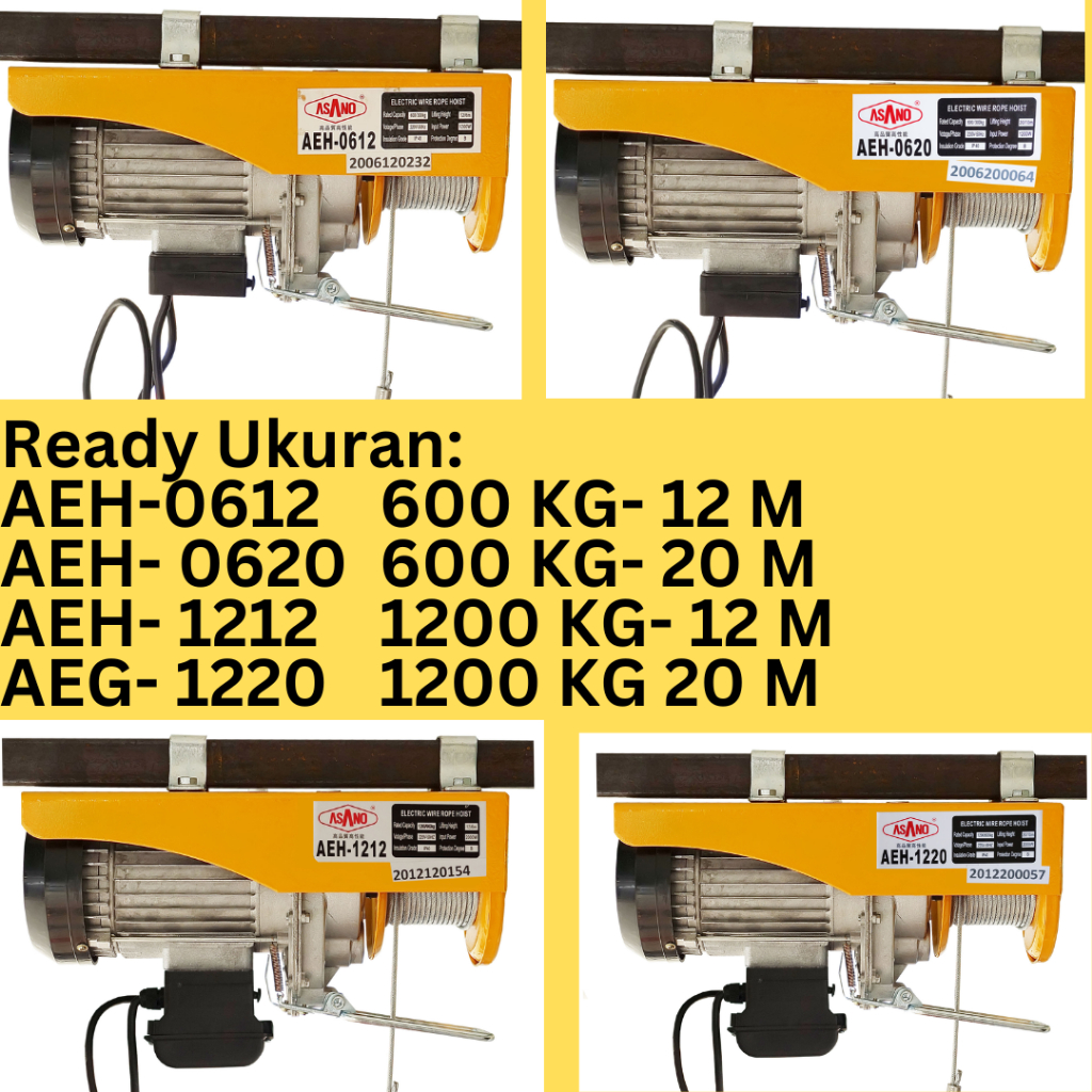 Jual Electric Hoist ASANO JAPAN AEH0612/0620 KATROL MINI LISTRIK 600KG ...