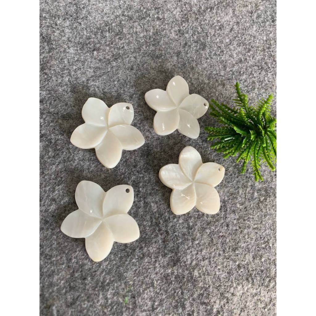 Jual KERANG MOTIF BUNGA 40MM, 22-25MM, 28MM / NATURAL SHELL FLOWER ...