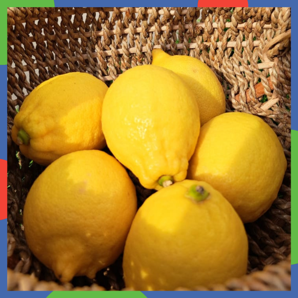 Jual Lemon Import Pack 900 - 1000 gr | Shopee Indonesia