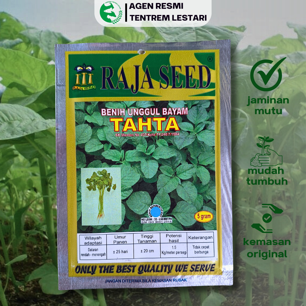 Jual Benih Unggul Bayam TAHTA 5 gram Cap RAJA SEED Lebat & Lambat ...