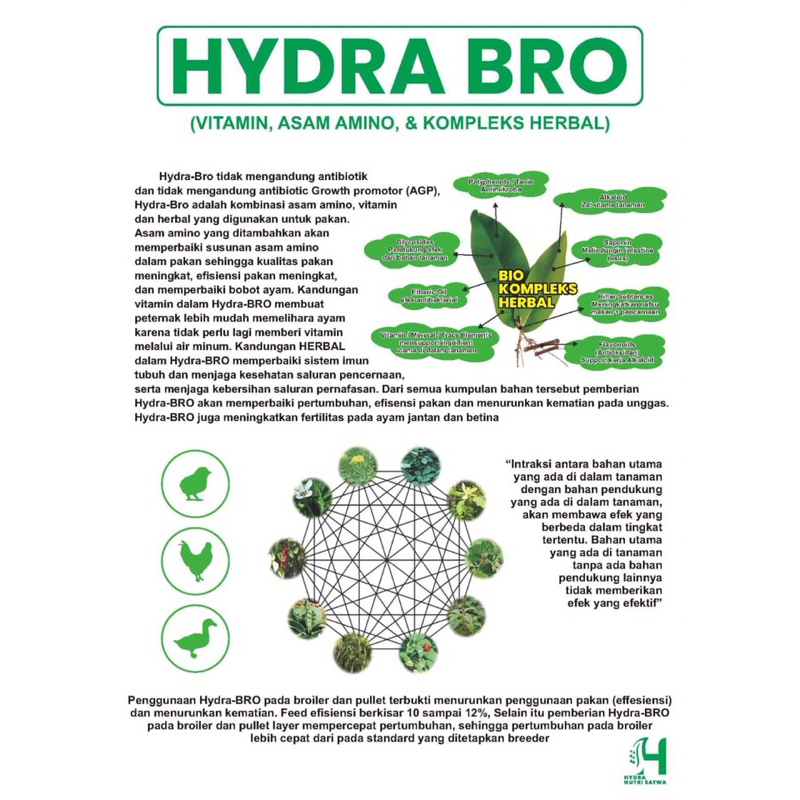 Jual HYDRA BRO Repack HYDRABRO Eceran 200 gram Pemacu pertumbuhan ...