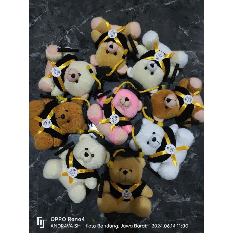 Jual BONEKA WISUDA HAPPY GRADUATION | Shopee Indonesia