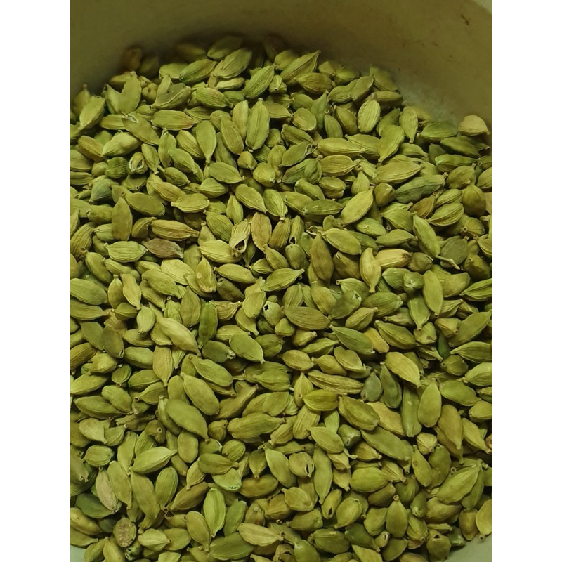 Jual papi saiyo kapulaga hijau kapol india premium 1kg 500gr | Shopee ...