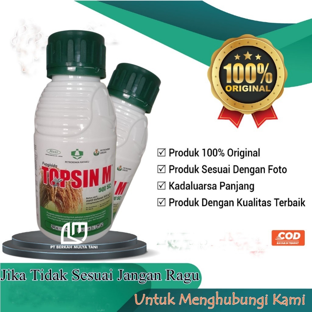 Rus godak, albatta, jinsiy aloqa video istaydi