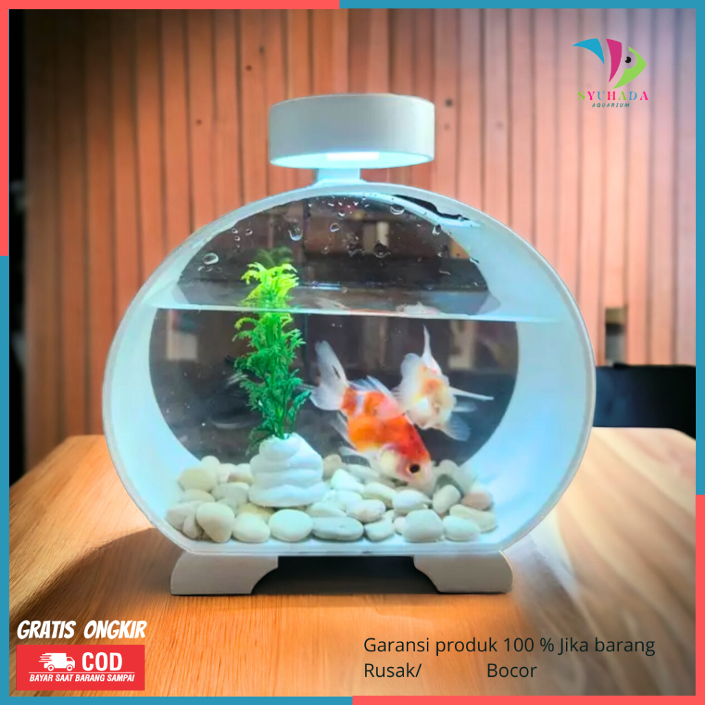 Jual Aquarium Akuarium Mini Soliter Ikan Cupang Ikan Hias Plus Batu