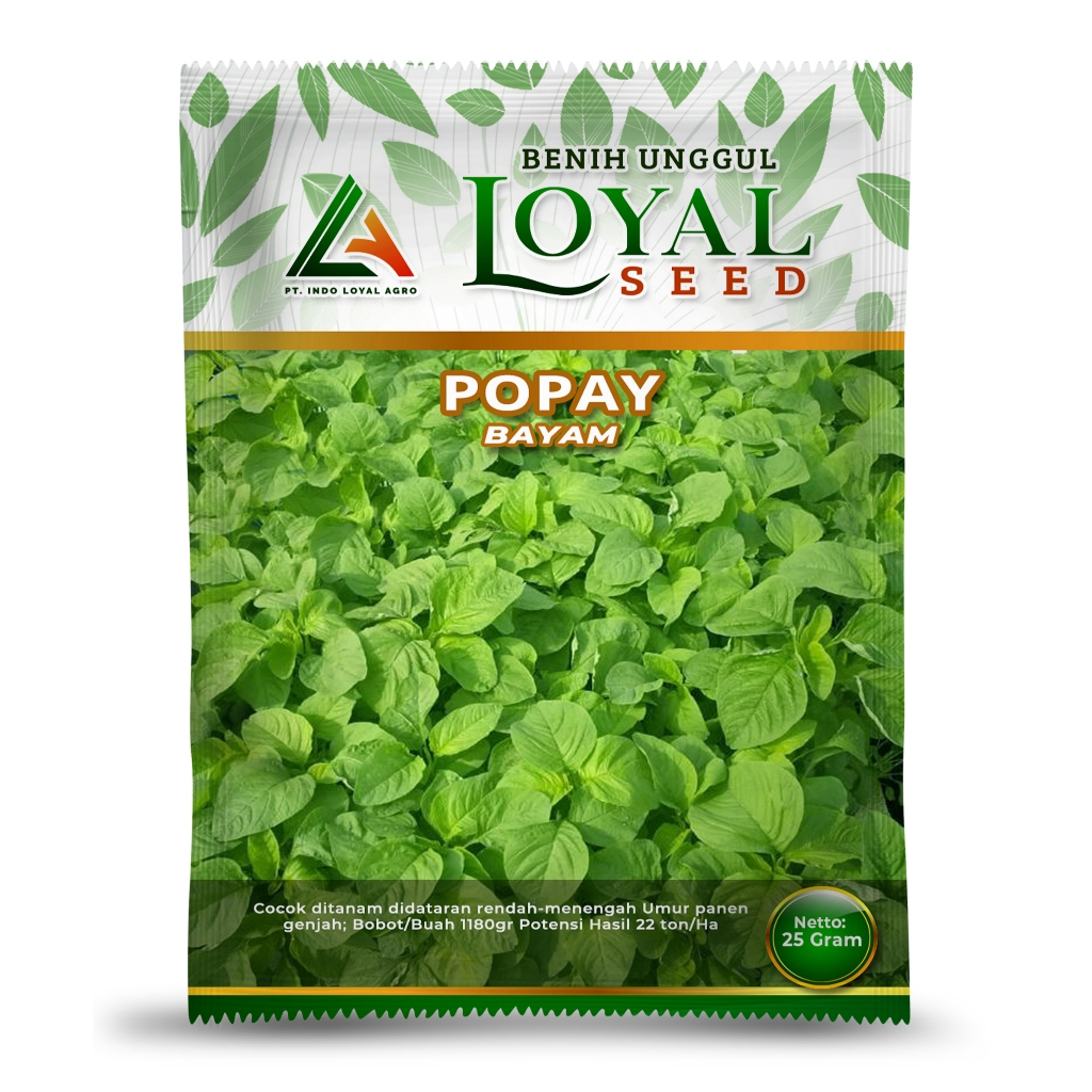 Jual BENIH BAYAM HIJAU POPAY 25 GR CAP LOYAL SEED | Shopee Indonesia