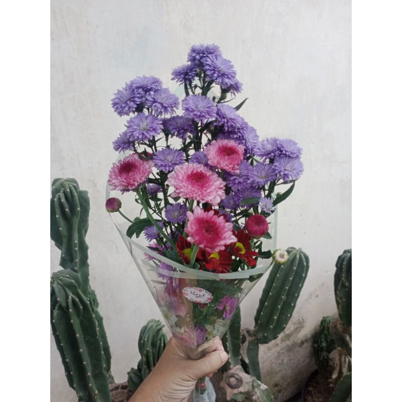 Jual fresh flower bunga asli buket asli bunga segar | Shopee Indonesia