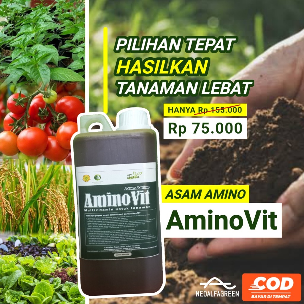 Jual Alfagren Asam Amino Pupuk Organik Cair Perangsang Pertumbuhan