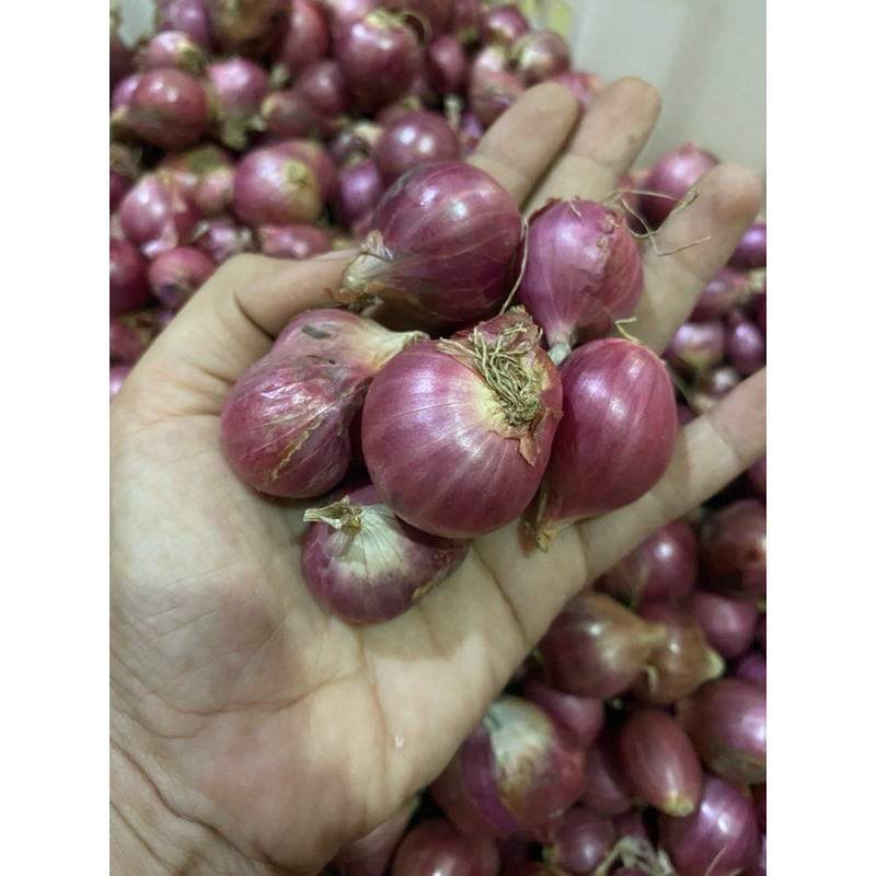 Jual Bawang merah Besar Besar 1 kg | Shopee Indonesia