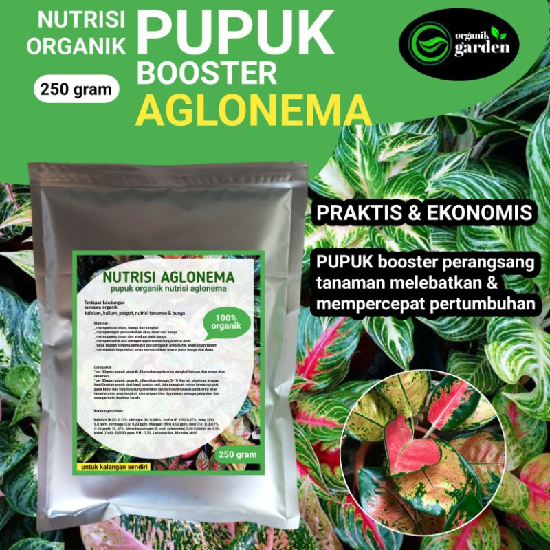 booster nutrisi organik pupuk bunga AGLONEMA 250gram