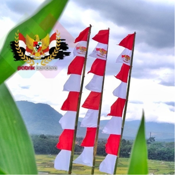 Jual Bendera Umbul Umbul Zigzag Umbul Kuda Laut Warna Warni Hut RI
