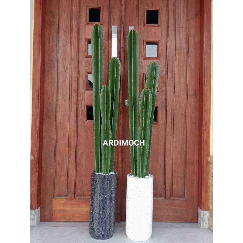 1 set kaktus Tinggi 1,4 meter VAS TERASO// fullset