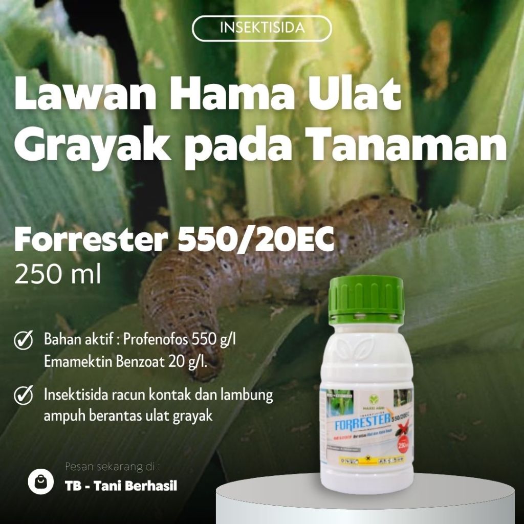 Jual Insektisida Forrester 550/20 EC 250 ml, Lawan Hama Ulat Grayak ...