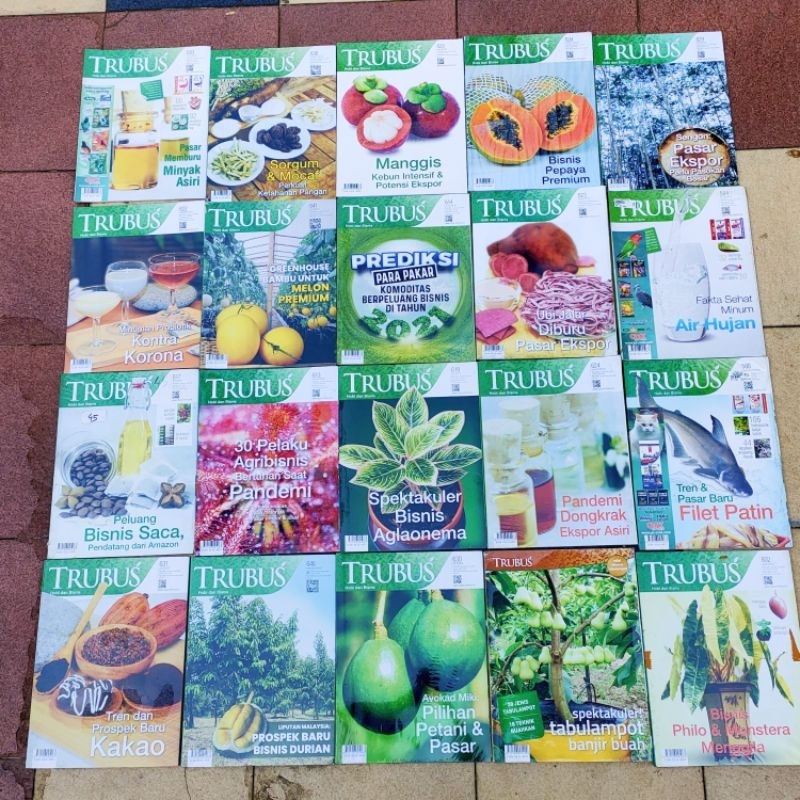 (ORIGINAL) OBRAL MAJALAH TRUBUS / BUKU PERTANIAN / PERKEBUNAN / SERI PETERNAKAN / BUKU BUDIDAYA / HOBI DAN BISNIS / PANEN ANGGUR TROPIS / MELON PREMIUM DOBRAK PASAR