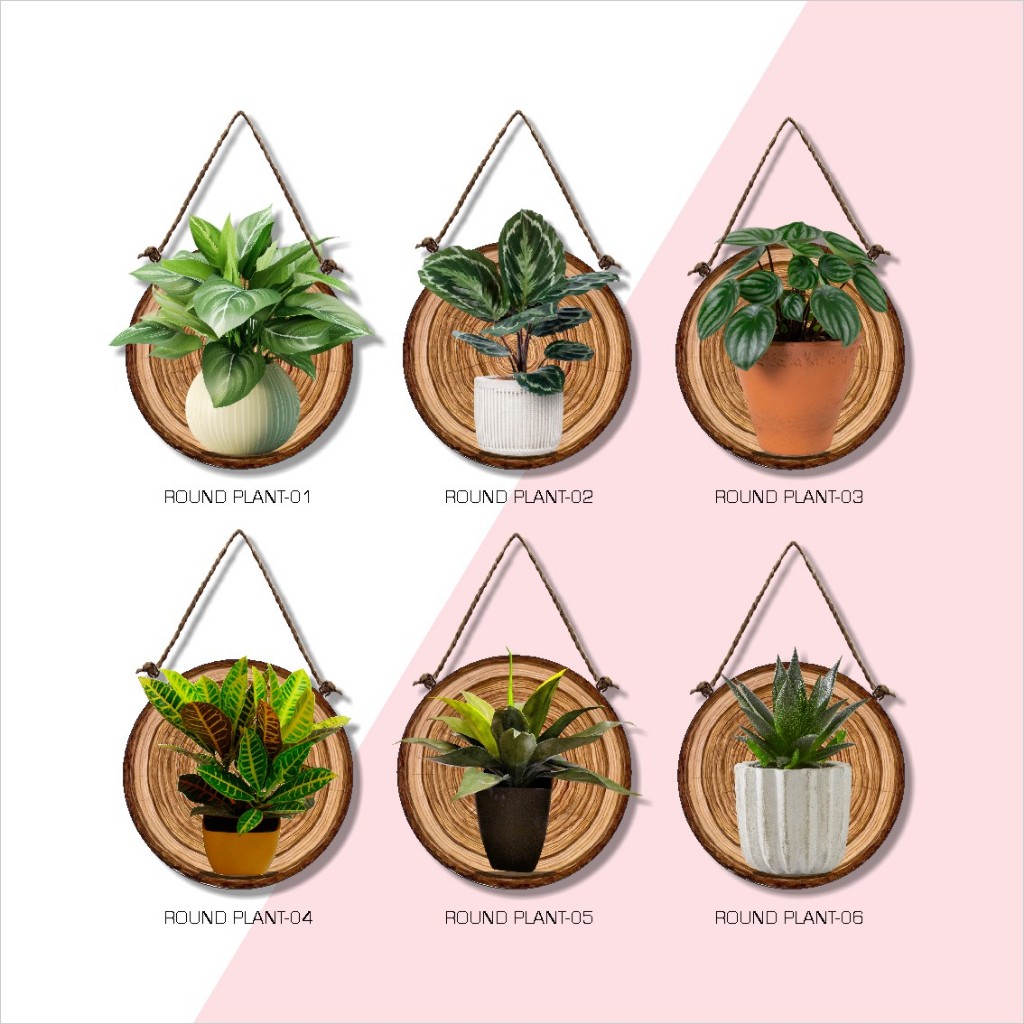 Hiasan Dinding Poster Kayu Walldecor Bulat Round Plant Tanaman Aesthetic 15x15cm Dekorasi Rumah