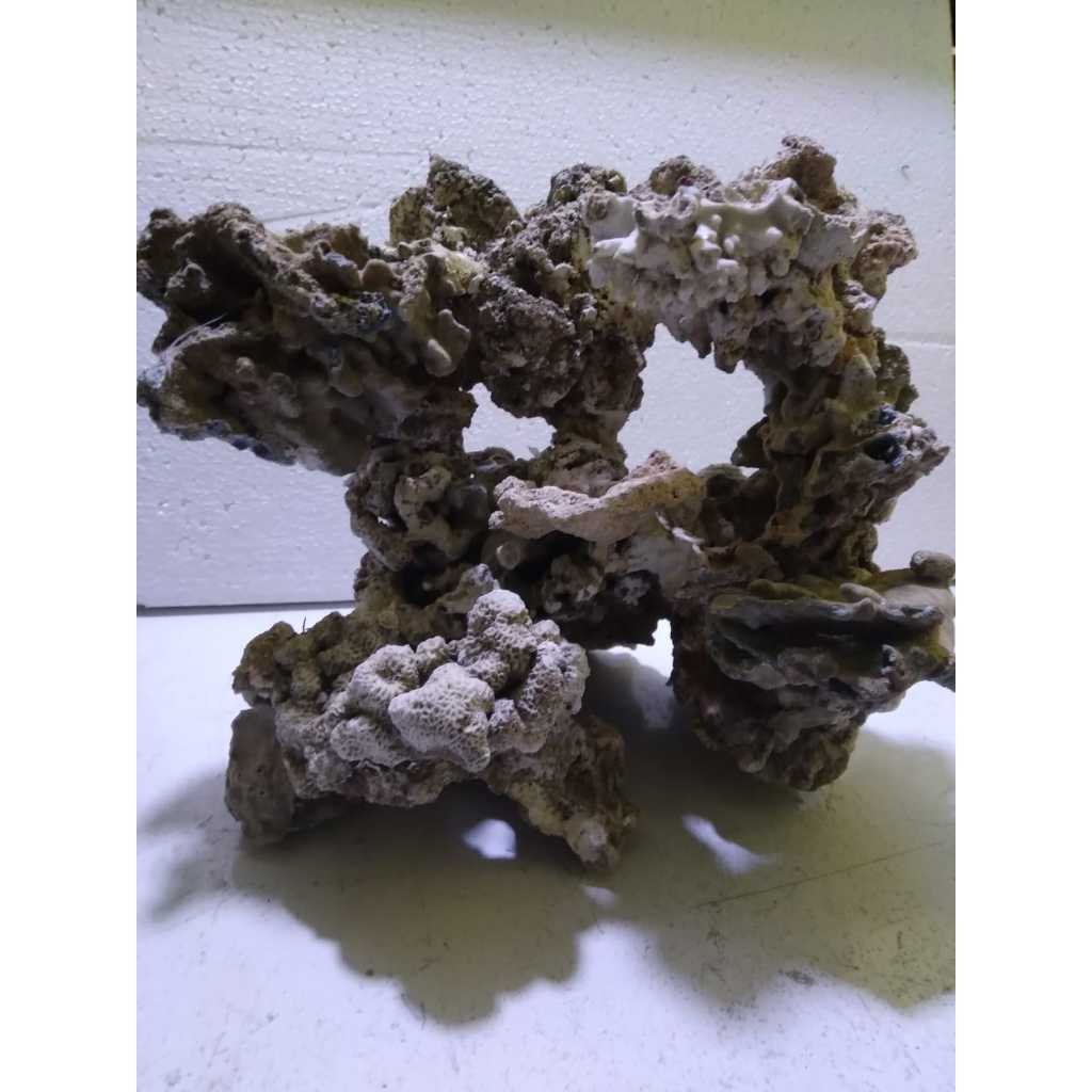 Jual Reef Scaping Dead Rock 30x25x25 Cm | Shopee Indonesia