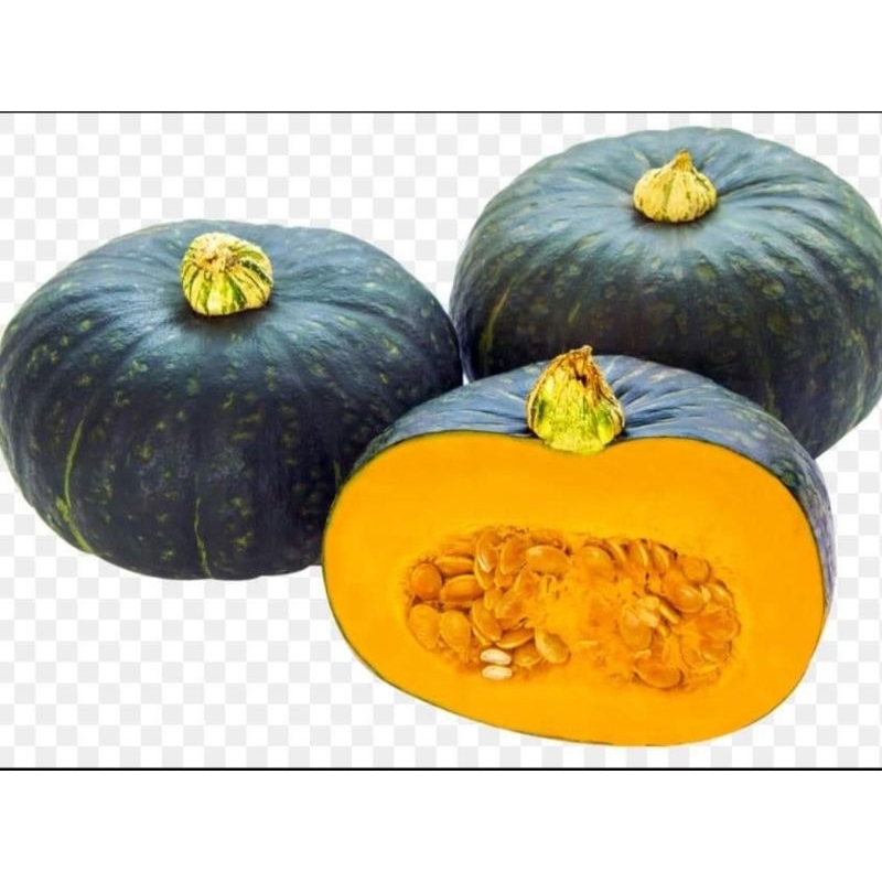 Jual KABOCA/LABU JEPANG HIJAU (per buah) | Shopee Indonesia