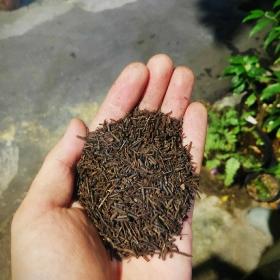 Media Tanam Pakis Cacah Oven 500 Gram