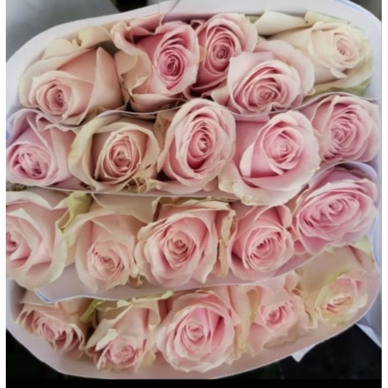 Produk Unggul_Tanijaya | Shopee Indonesia