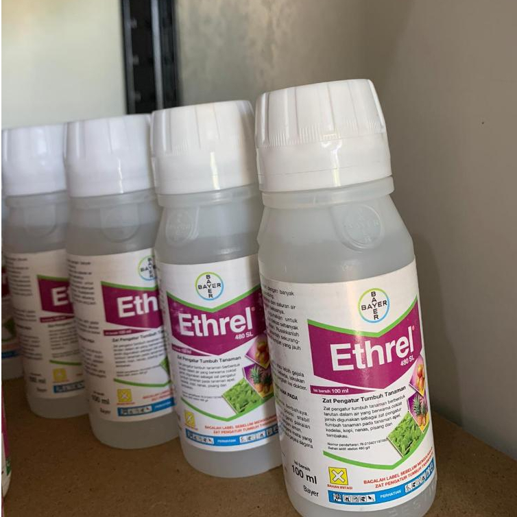 Jual ETHREL 480SL-ZAT PEMATANG BUAH (100ML) | Shopee Indonesia