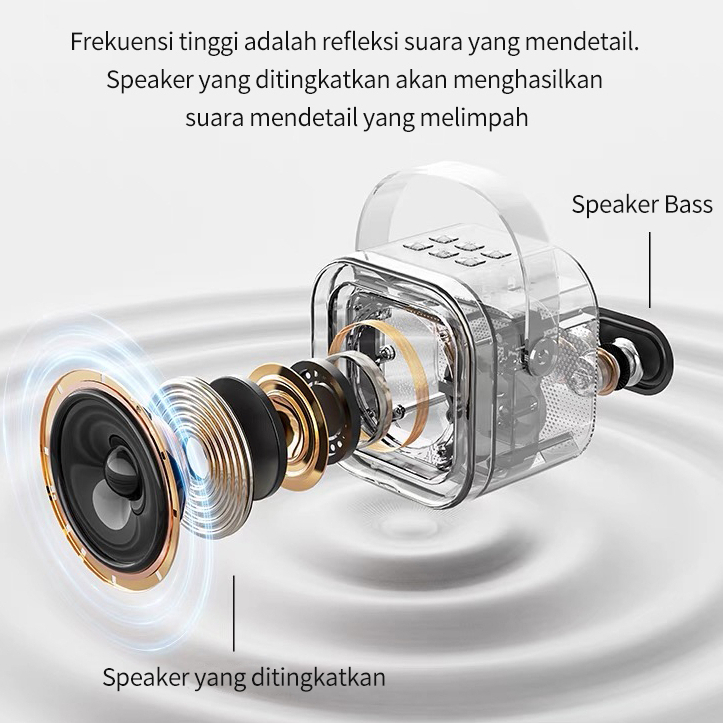 Jual Bluesea Karaoke Speaker Wireless Bluetooth 2 Mic 1 Set Mini ...