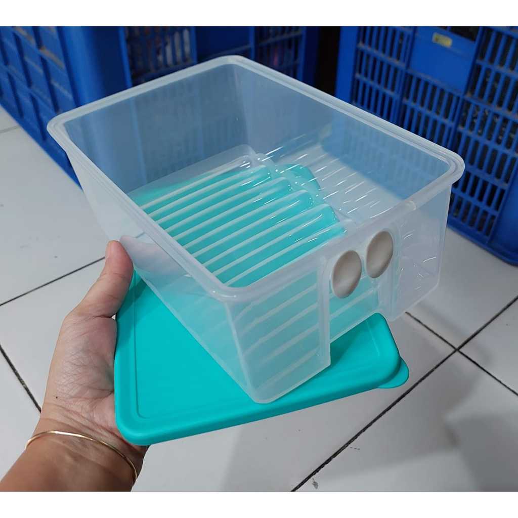 Jual Fridgesmart Medium Tupperware 1,6 Liter Shopee Indonesia
